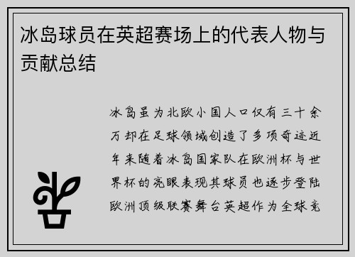 冰岛球员在英超赛场上的代表人物与贡献总结
